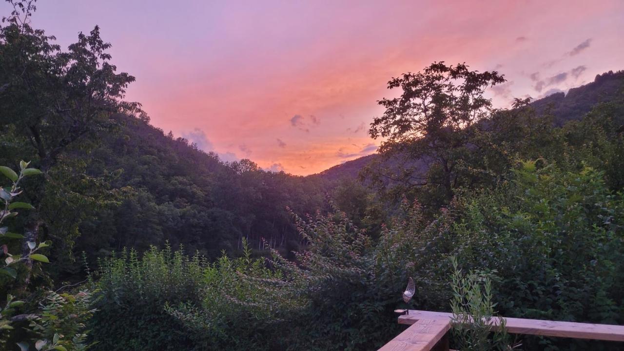 Manoir Des Pelies Spa Conques Kültér fotó