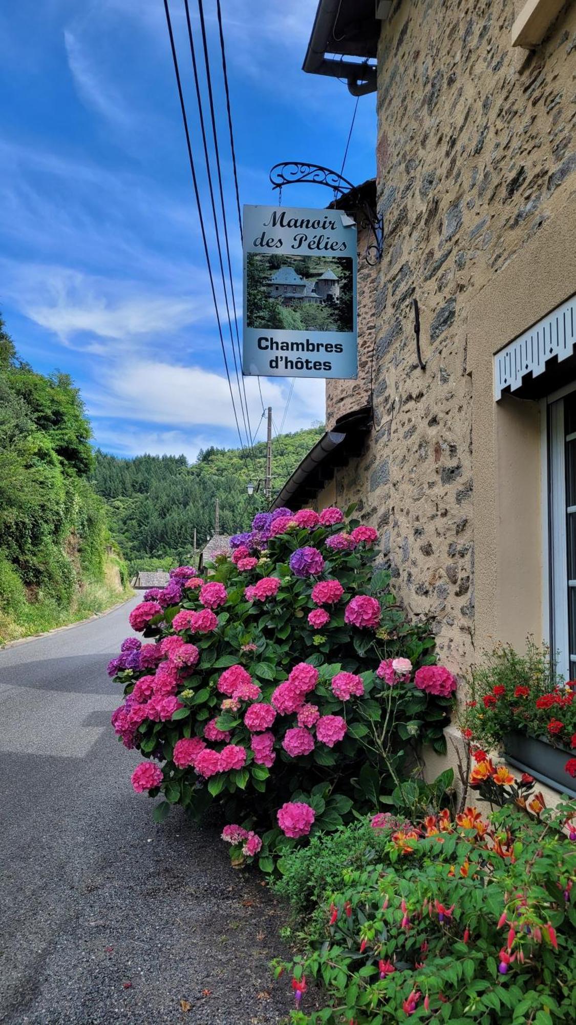 Manoir Des Pelies Spa Conques Kültér fotó