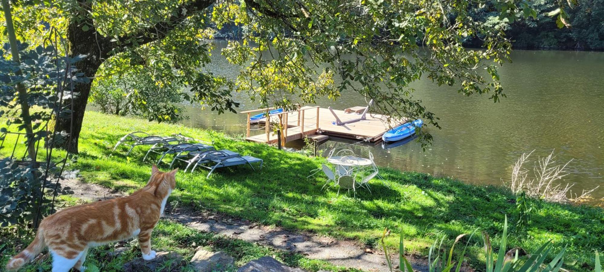 Manoir Des Pelies Spa Conques Kültér fotó