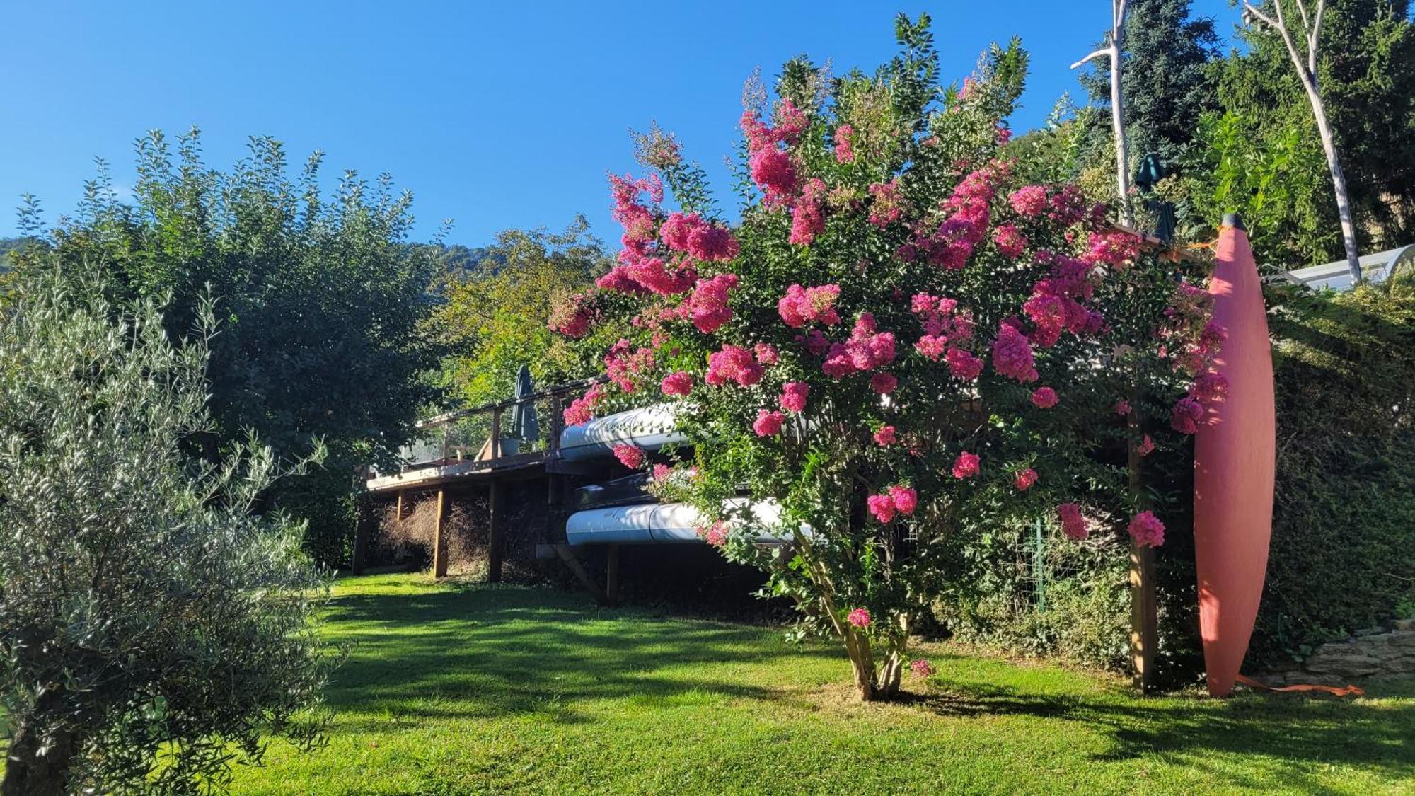 Manoir Des Pelies Spa Conques Kültér fotó